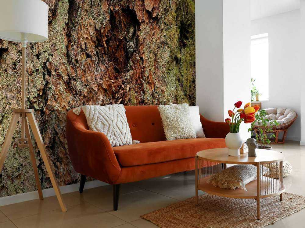 Baumrinde alter Baum 