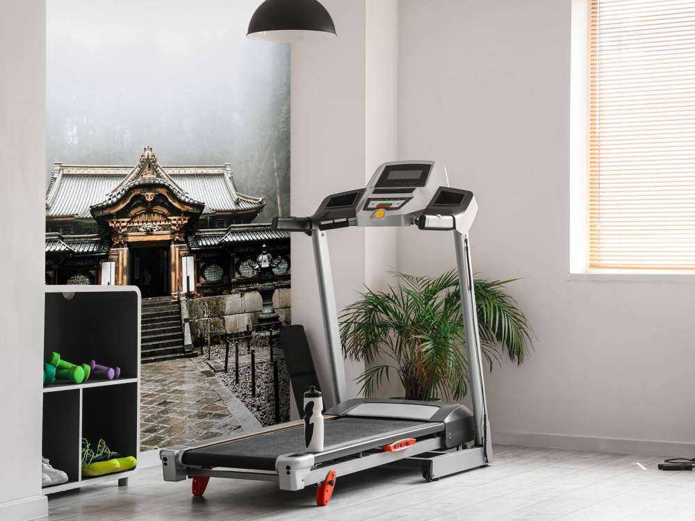 Alter japanischer Tempel
