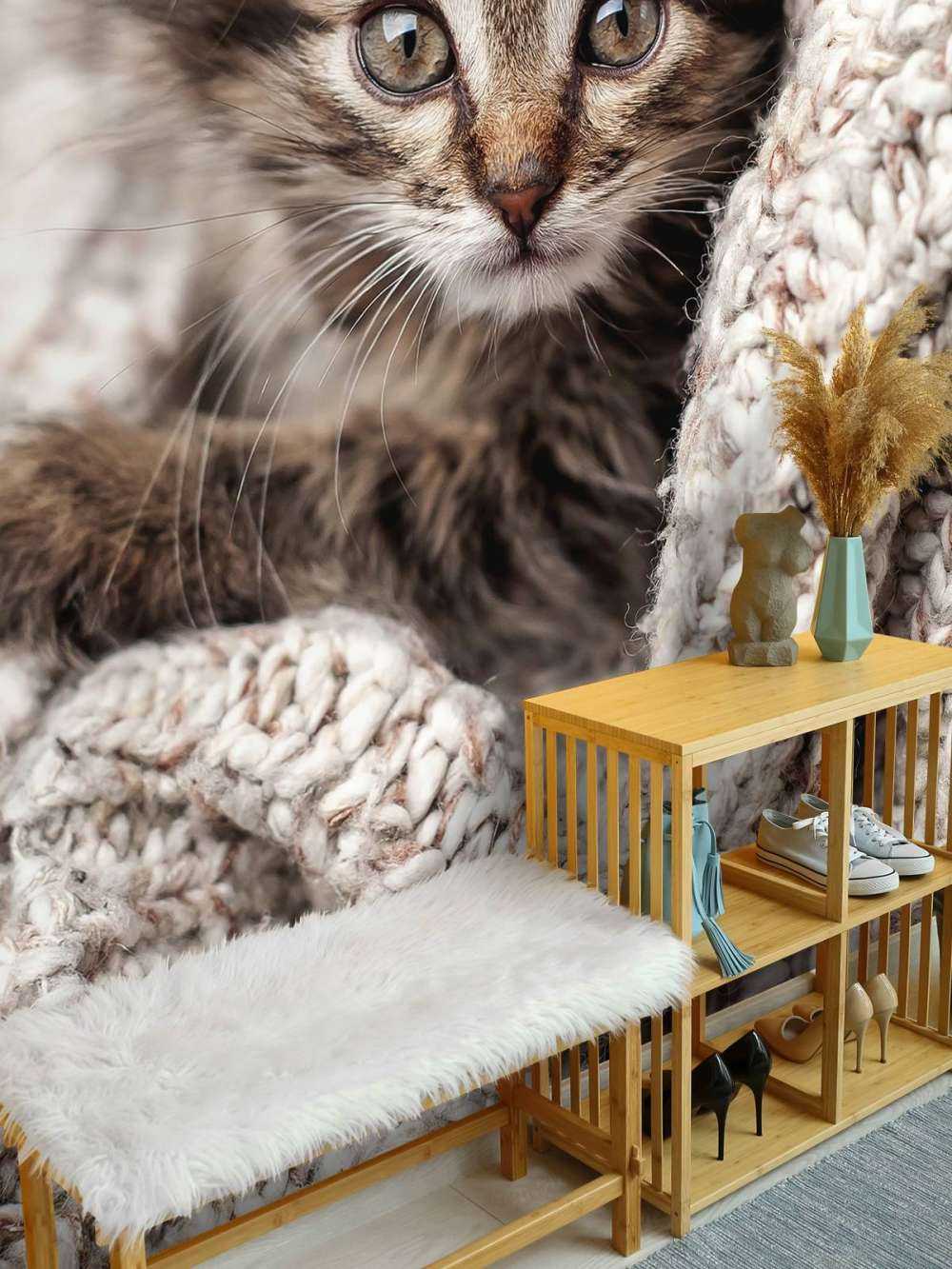 Katze in einer Decke