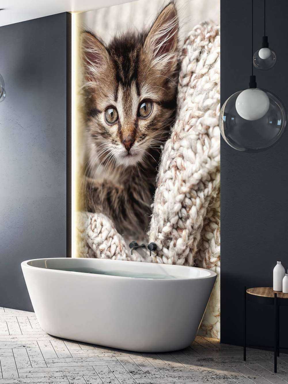 Katze in einer Decke