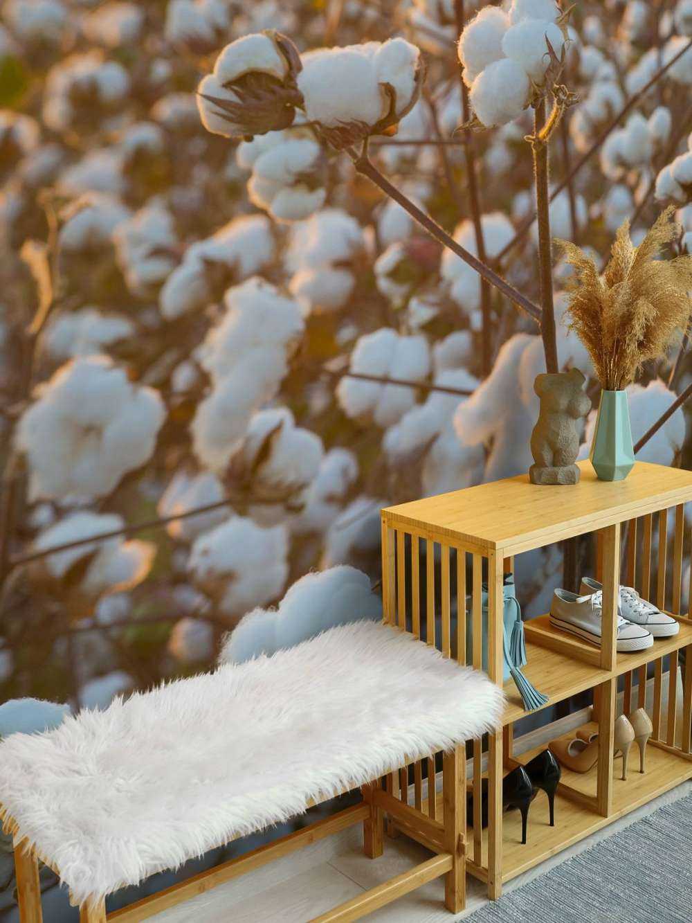 Baumwollfeld mit goldgelbem Himmel