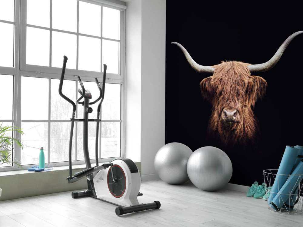 Alte Schottischer Hochländer