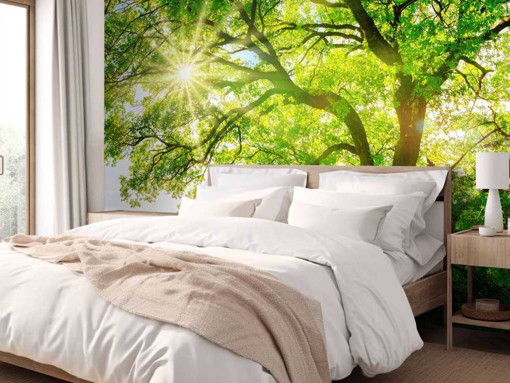 Baum mit Sonnenstrahlen